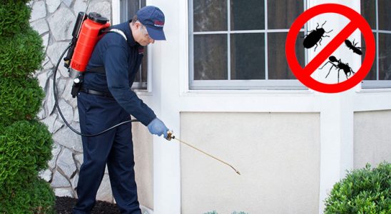 Hacılar Dezenfeksiyon böcek ilaçlama ve haşere kontrolü — ilaclama-tr.com
